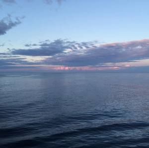 Meet your Posher, Adrienne